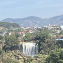 별 내린 커피 | 달랏 땀찐커피농장 솔직 후기 (코끼리 폭포 뷰 + 커피 투어)