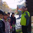 들꽃세상 이미지