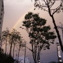 무지개 동산 이미지