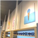 아이비스안경콘텍트 이미지