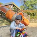 나무와숲한의원 | 주원이의 5월 일상 (2)