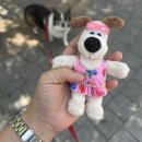 의정부 민락동 빵집 '모도리' 내돈내산 이용 후기