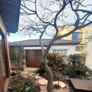 애월숲에101 | 제주 돌담 감성 속에서 힐링했던 애월 아로마 마사지 내 돈 내산 후기 [더숲아로마테라피 제주애월점...