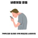 늘솔행복도장 이미지
