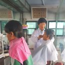 보라이발관