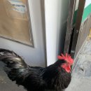 명성슈퍼 이미지