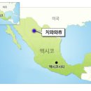 미주물산