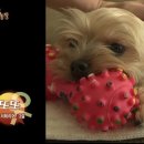 또또농장 이미지