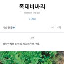 닭발바닥앤떡볶이