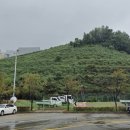 용적사 독성도 이미지