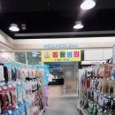 Wellness clinic 동물병원 티스토리