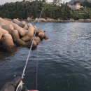 중흥낚시터 안쪽 화장실 | [경남 거제] 거제 낚시 포인트 투어🎣 "소계방파제&amp;궁농관광단지낚시터" 방문후기