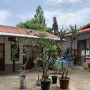 GR(평창군)-[평창강로]-상-4 | [강원도 평창] 건강 밥집 '옹달샘식당'