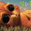 해리수 이미지