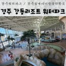강동리조트 | 겨울 경주 아이와 가볼만한 곳 강동리조트 워터파크 후기