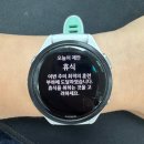러너 피트니스 | 피트니스앱추천 하나만 꼽자면? 가민 커넥트! (가민265s 2년차 러너의 솔직 후기)