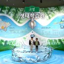 버들치도서관 | 경남 실내 아이랑 갈만한곳 고성 생태학습관