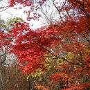 정용목장 이미지