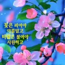꽃날 이미지