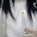 그런날 이미지