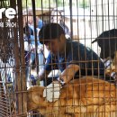 용순농장 이미지