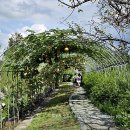 내동마을 내 공터 이미지