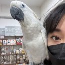 버드아뜰리에 이미지