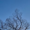 거제 앵산 산행후기 (소오비다리~ 앵산~광천사) 이미지