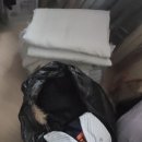 연제구-150 | 헌 옷 수거업체 단가 공개 부산 헌 옷 방문 수거 연제구에서 이용해본 찐후기