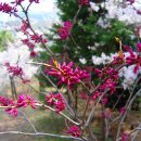 우룡산공원 이미지