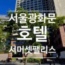사덕 | [서울 호캉스] 아기랑 함께 서머셋팰리스 서울 숙박 후기 I 투베드 이그제큐티브, 루프탑 수영장