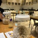 (주)세화유통 | 미소주방 알밤막걸리 빚기 후기 (feat. 롯데백화점 문화센터)