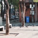 가든약국 이미지