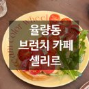셀리르 이미지