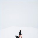 눈꽃탕수육