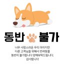 이캡커피(ekab coffee) 네이버블로그