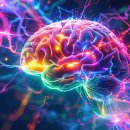 해로모텔 | 자청 - 책읽기의 중요성과 방법