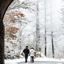 숲길 걷고 온천에서 쉼표 새해를 위한 완벽한 여행지 추천 이미지