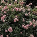 솔튼병원 이미지