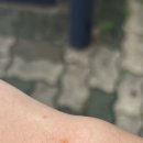 개풍한의원 이미지