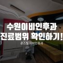 밝은이비인후과의원 | 수원 이비인후과 추천, 코와 귀, 목 증상별 진료 범위부터 확인하세요!