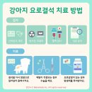 풍동 동물병원 이미지