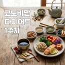 위드제일한방 | 고도비만 다이어트 1주차 : 목동 다이어트 한의원 방문 누워서 하는 허리 안 아픈 운동 추천