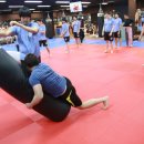 코리안 탑 팀 이미지