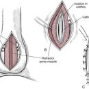 백석동물병원 이미지