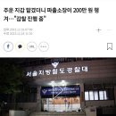 주운 지갑 맡겼더니 파출소장이 200만 원 챙겨…"감찰 진행 중" 이미지