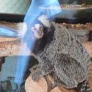 좀 늦은 에버랜드 후기 이미지