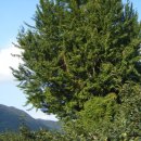 농장 천지인 이미지