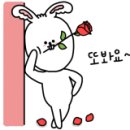 하단2동-16 이미지