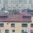 제천현대칼라 이미지